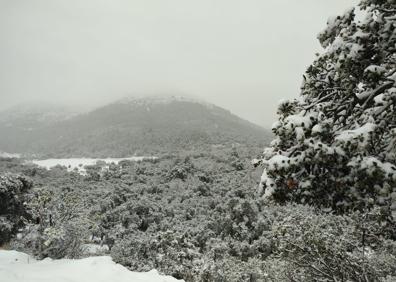 Imagen secundaria 1 - The scene near Parauta in the Serranía de Ronda. 