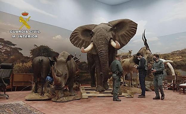 Some of the stuffed animals. 