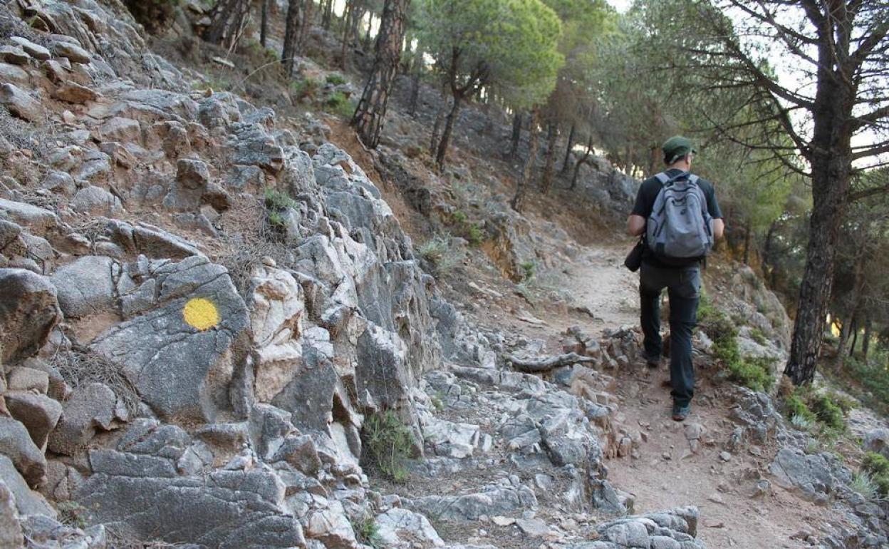 Hiking trail marked with a yellow point. 