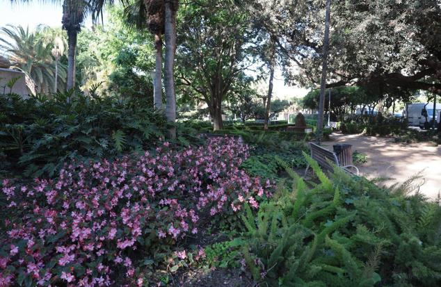 Explosion of colours and scents in Malaga's parks and gardens. 