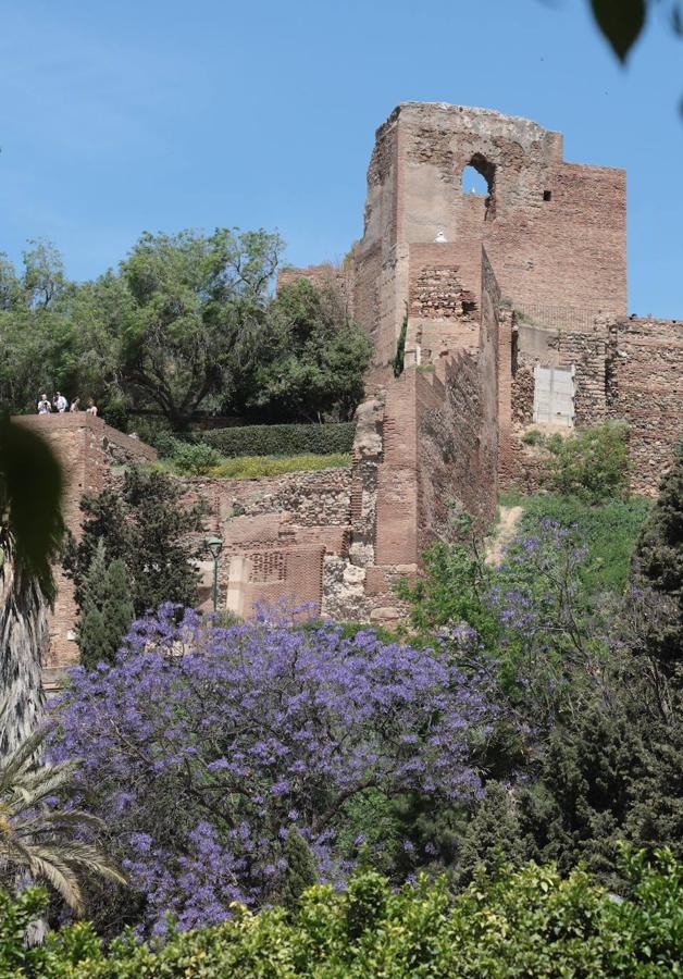 Explosion of colours and scents in Malaga's parks and gardens. 
