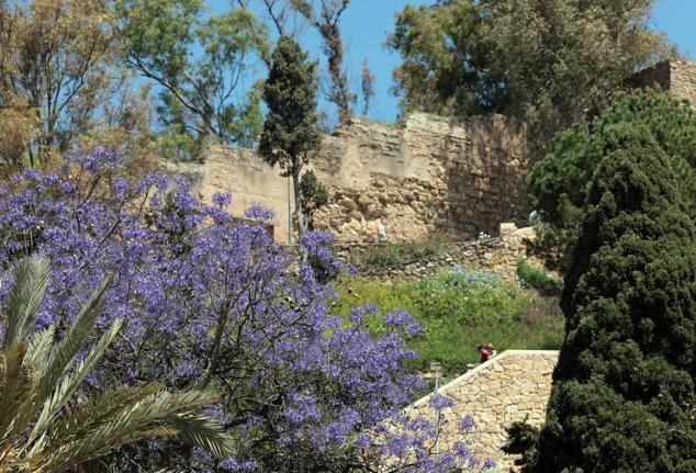 Explosion of colours and scents in Malaga's parks and gardens. 