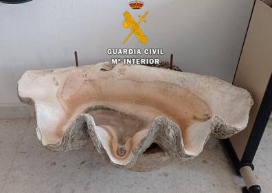 Imagen secundaria 1 - Three people investigated for keeping goats and 22 dogs in 'terrible conditions' in Guadalhorce valley