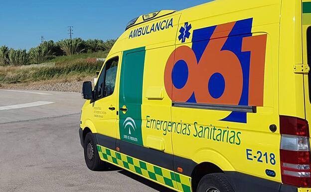 Guardia Civil investigate driver for reckless homicide after car smashed into tree in Antequera