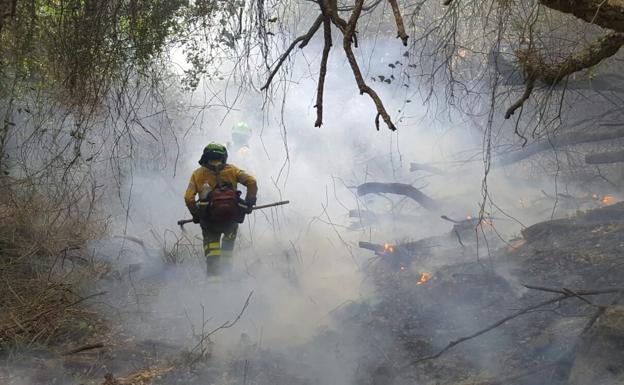 Firefighting teams working in the area this Thursday.