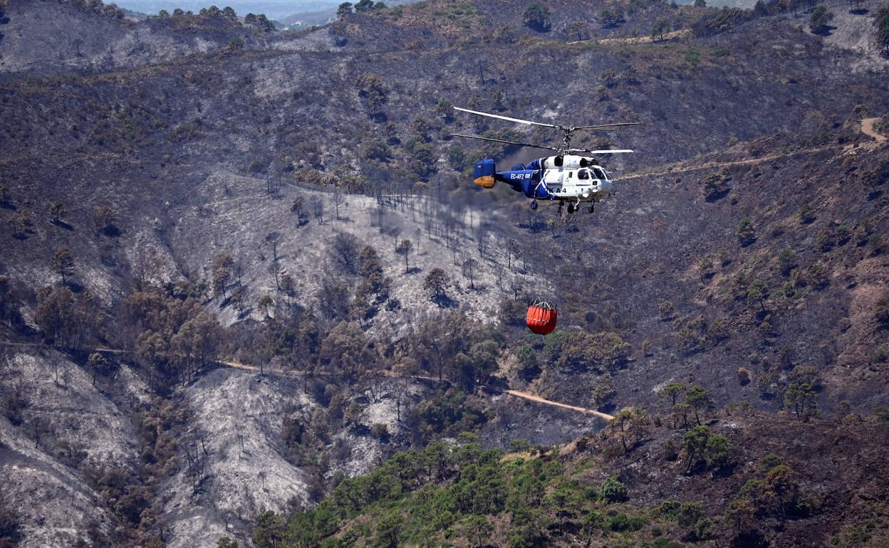 Aircraft working in the Montemayor area.