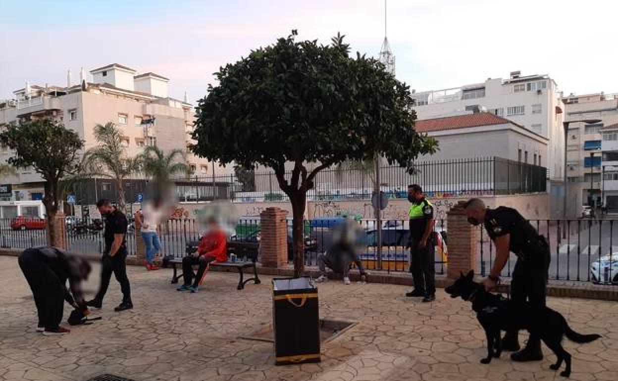 Meet Locky, top dog at Rincón de la Victoria's local police force