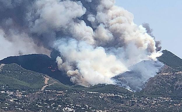 Imagen principal - Junta activates Level 1 of emergency plan after forest fire declared in Sierra de Mijas