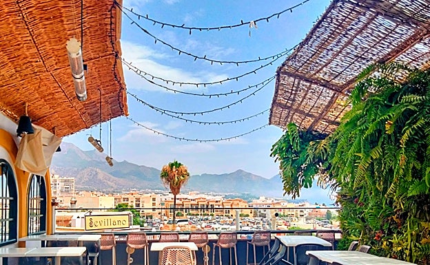 Imagen principal - The 'ingredients' of Jamaican atmosphere in Nerja: Volk's Bar's rooftop, Ron Montero, Rum Punch. 