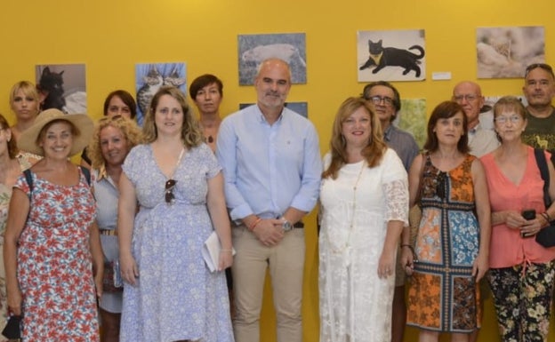 Torremolinos marks World Cat Day with photographic exhibition