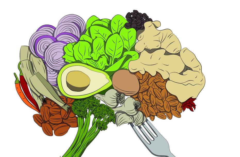 How to train the brain to control what we eat