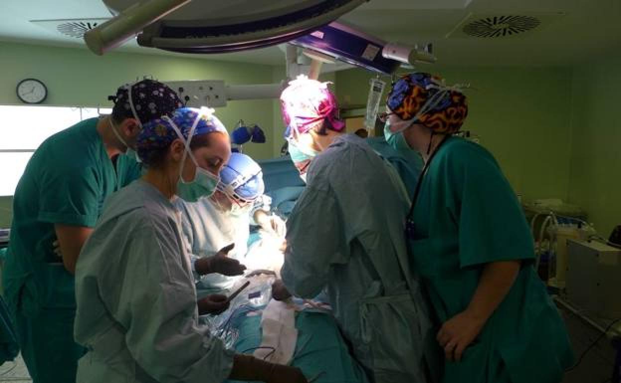 An organ transplant at Malaga's Regional Hospital. 