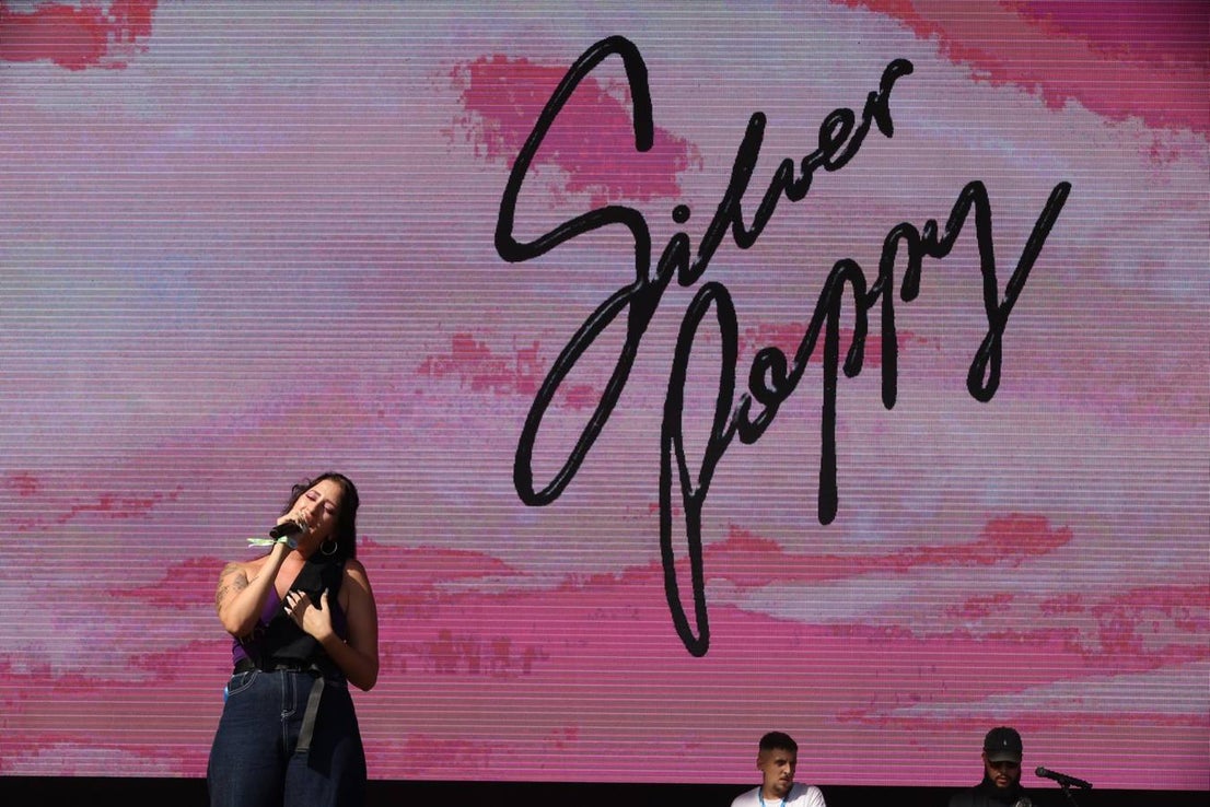 Silverpoppy on Saturday