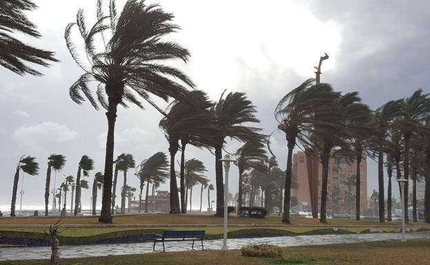 Yellow weather warning issued in Malaga and along the Costa del Sol for strong winds and rough seas