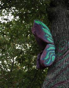 Imagen secundaria 2 - The route descends gradually. The view of Cartajima and Los Riscos from Parauta's chestnut grove. The forest's mythical characters dotted all over the area. 