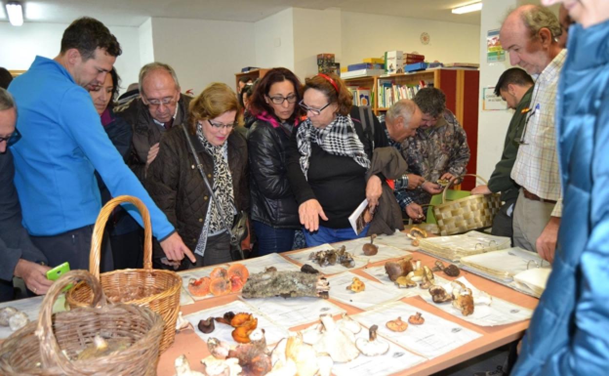 A previous edition of the mycological weekend in Monda. 