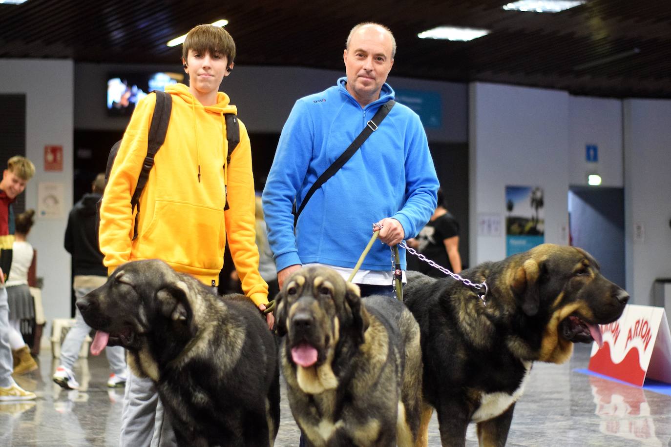 Expocan is one of the longest-running dog shows Andalucía and is organised by the Canine Society of the Costa del Sol