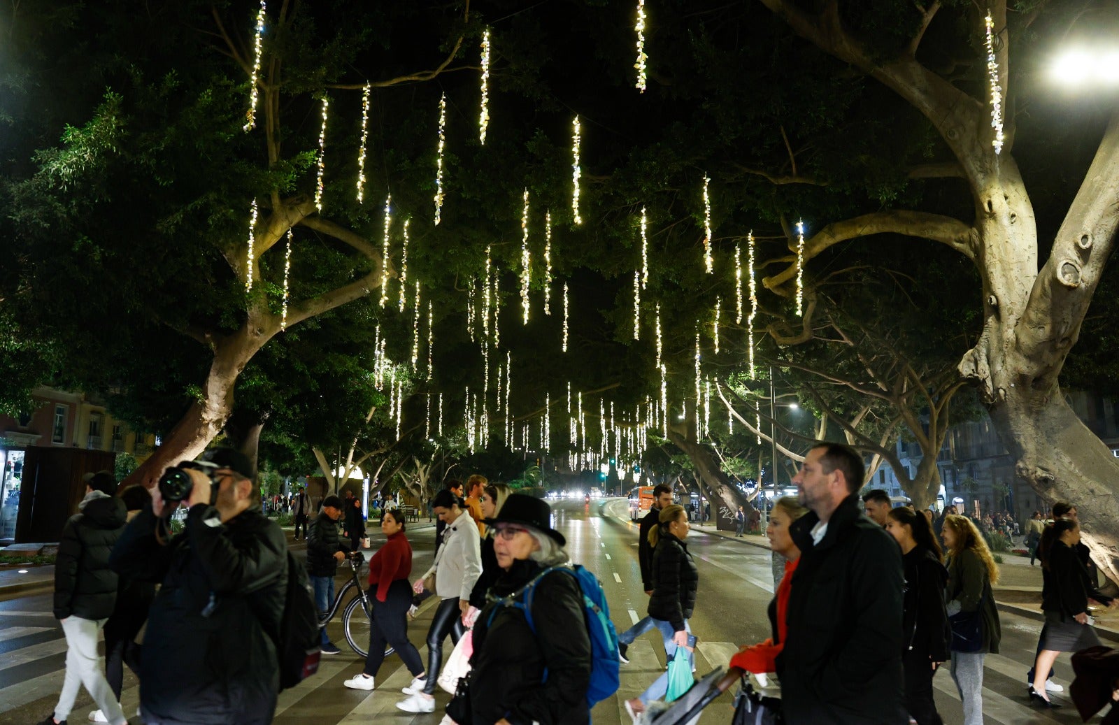 Christmas lights in Malaga city centre.