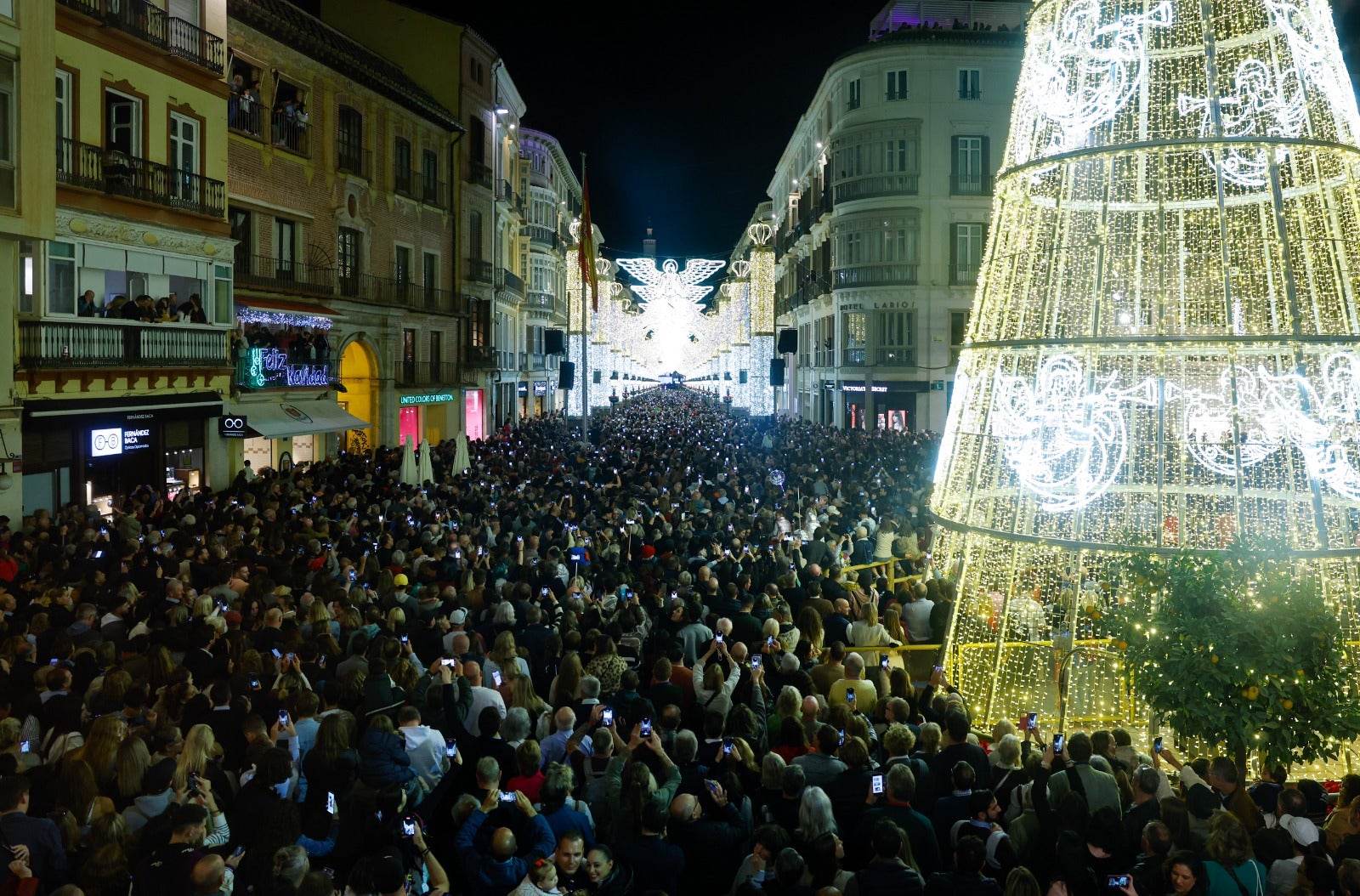 Christmas lights in Malaga city centre.