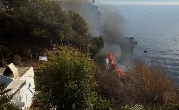 The fire affects the area known as Vega de Tetuán in Maro, next to La Doncella cove. 
