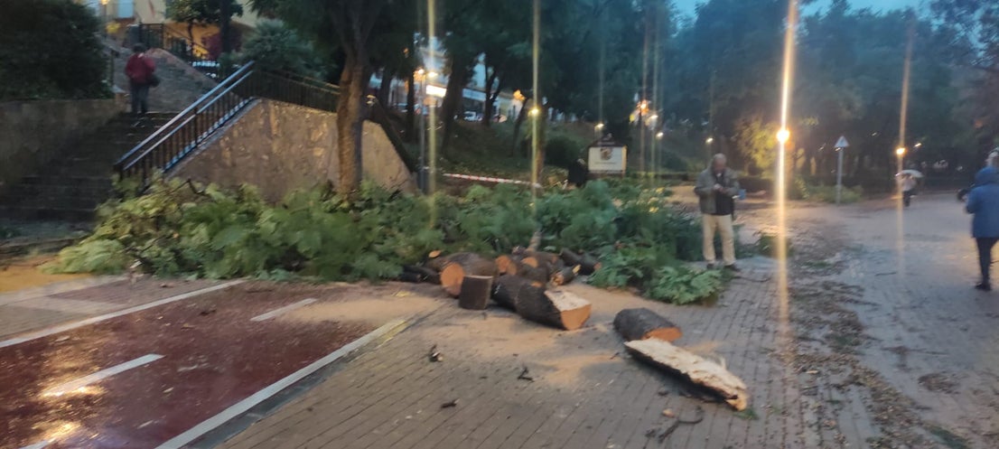 Some of the damage caused by the tornado this Monday afternoon in Marbella.