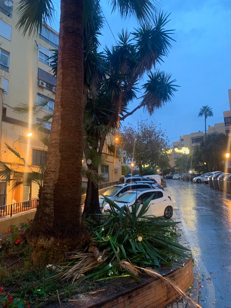 Some of the damage caused by the tornado this Monday afternoon in Marbella.