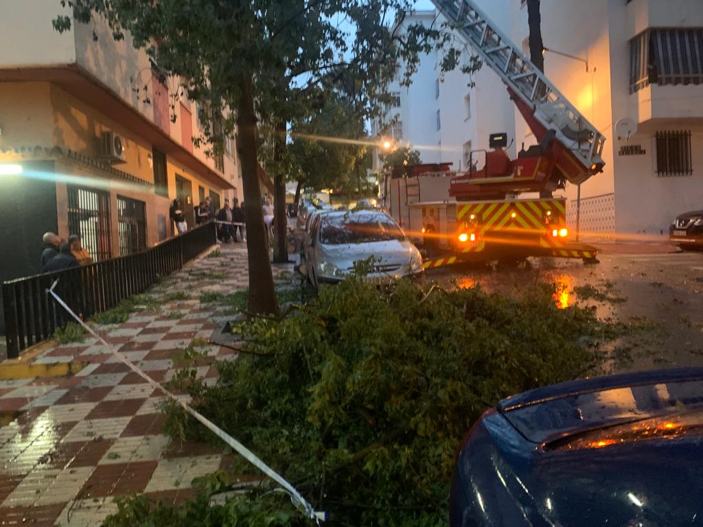 Some of the damage caused by the tornado this Monday afternoon in Marbella.