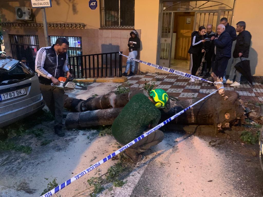 Some of the damage caused by the tornado this Monday afternoon in Marbella.