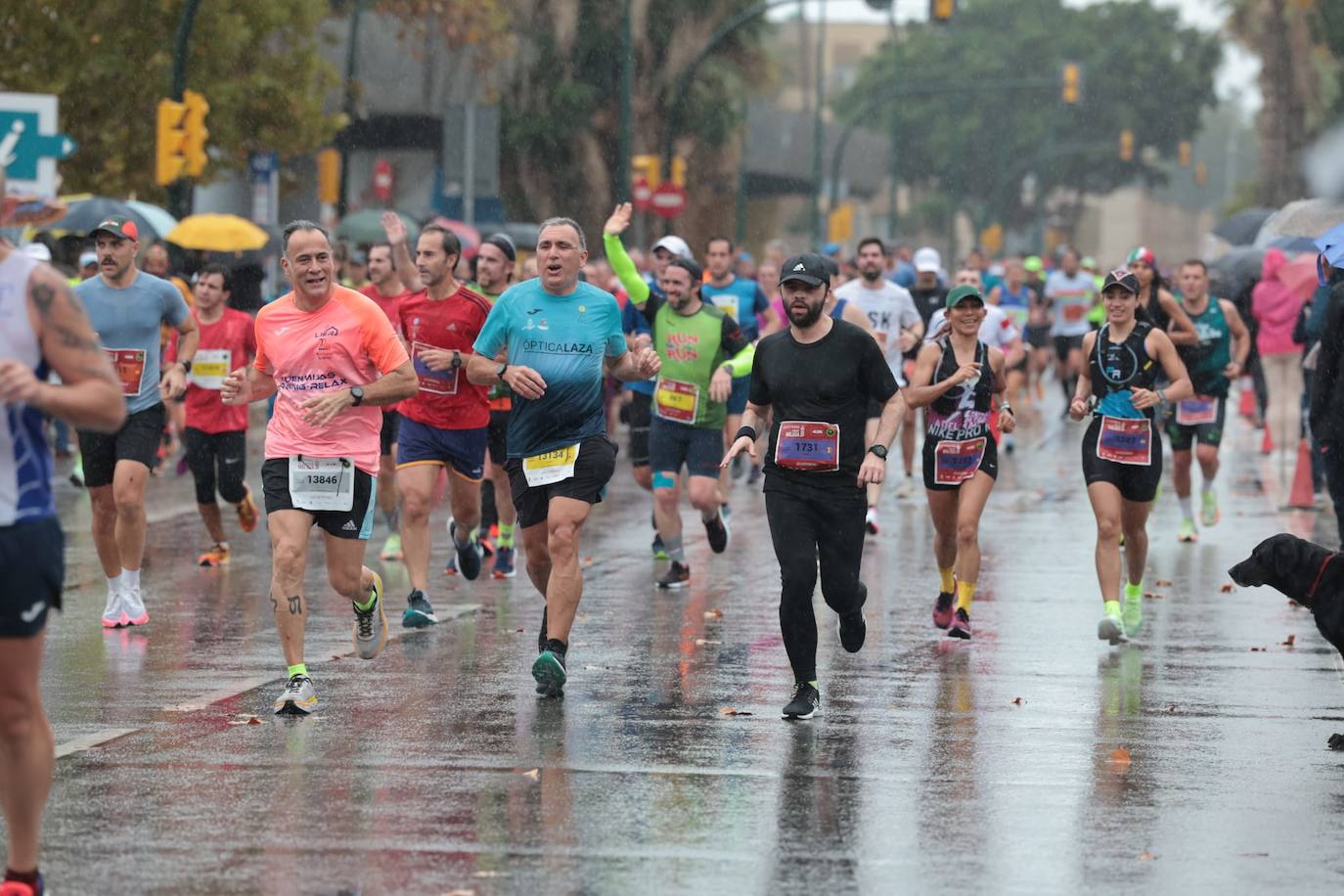 Runners in the Generali Malaga Marathon race on Sunday, 11 December 2022