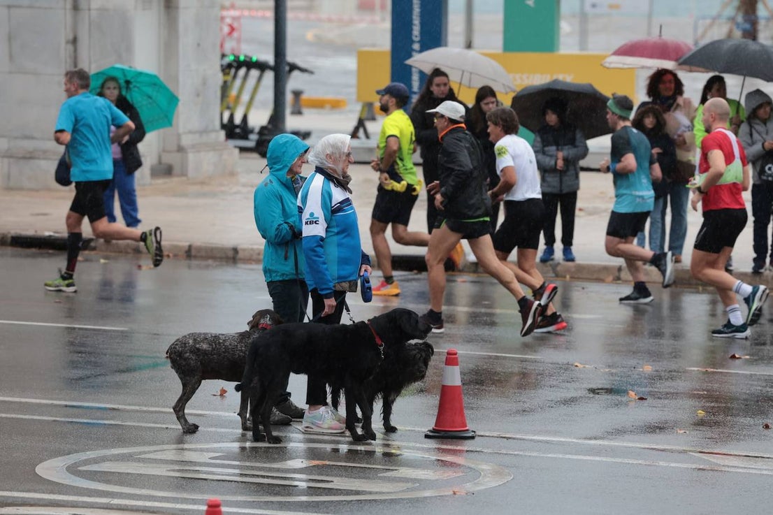 Runners in the Generali Malaga Marathon race on Sunday, 11 December 2022