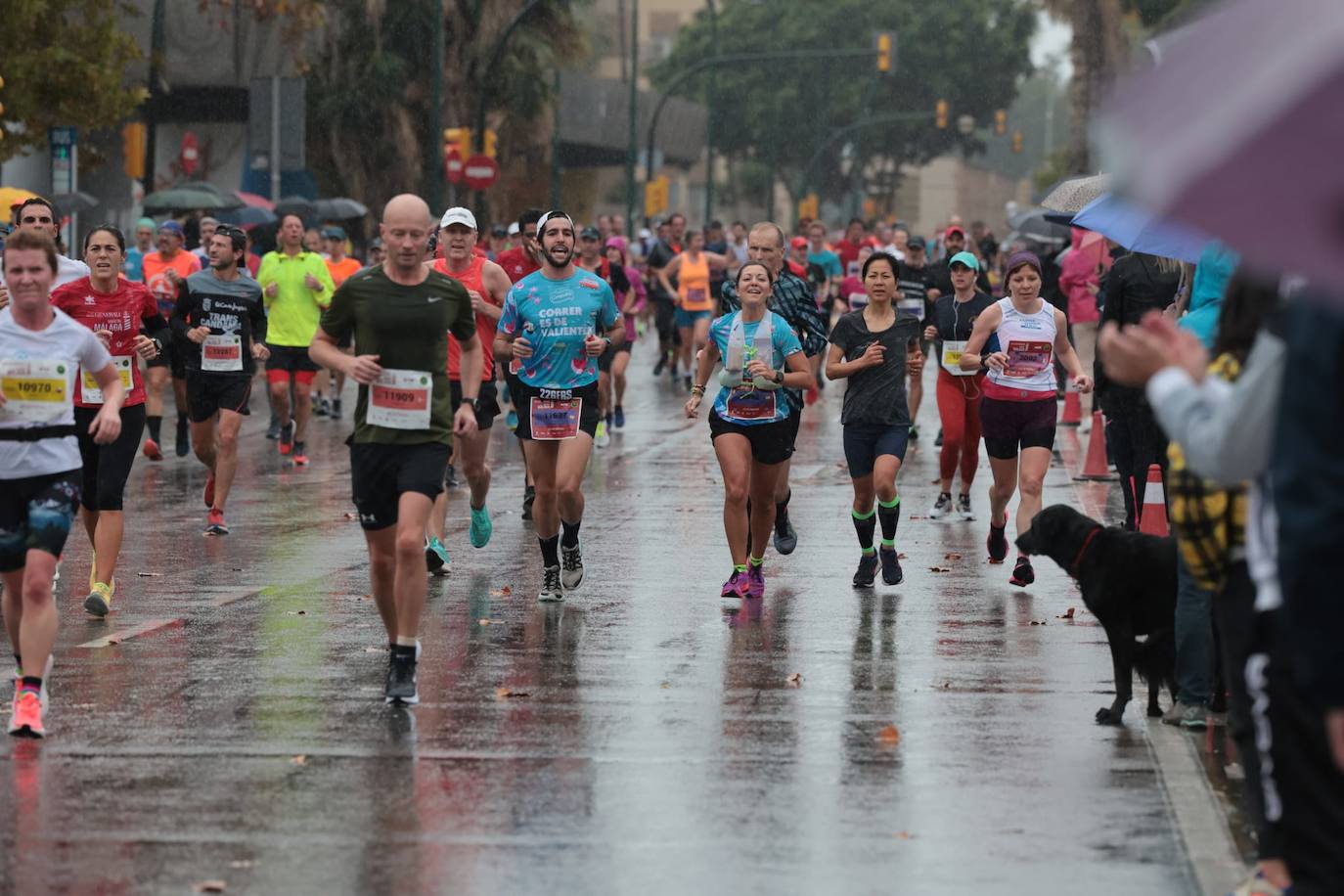 Runners in the Generali Malaga Marathon race on Sunday, 11 December 2022