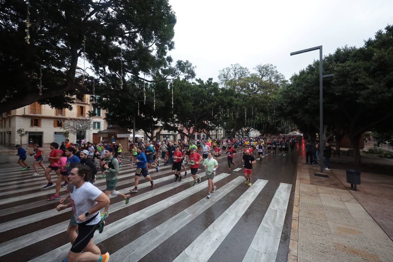 Runners in the Generali Malaga Marathon race on Sunday, 11 December 2022
