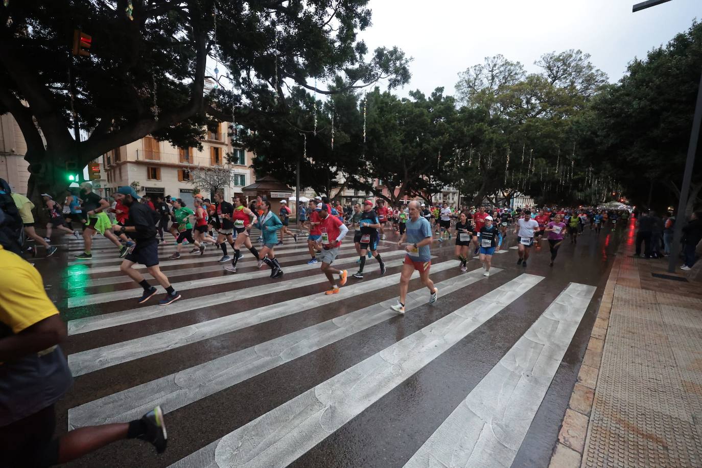 Runners in the Generali Malaga Marathon race on Sunday, 11 December 2022