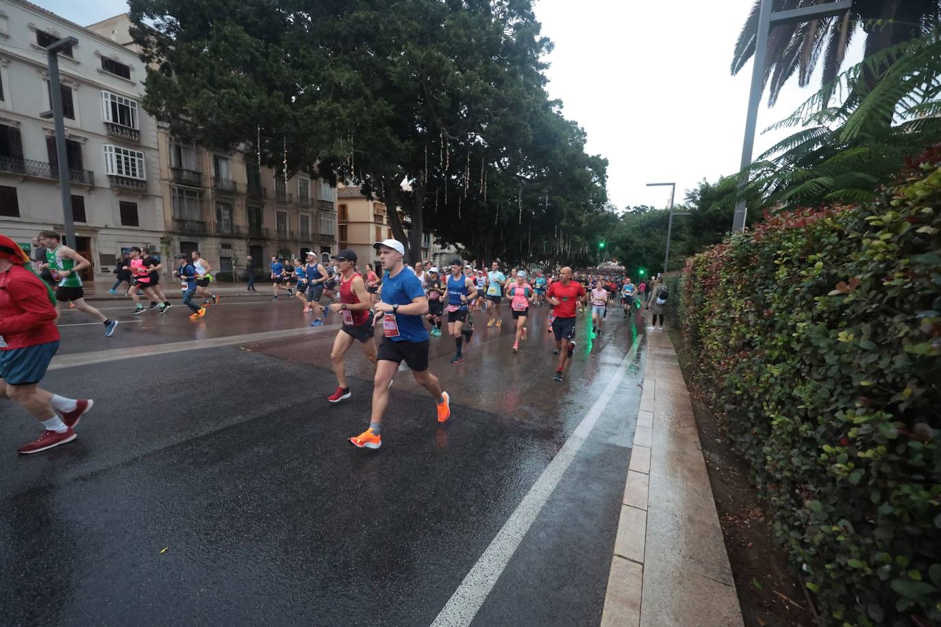 Runners in the Generali Malaga Marathon race on Sunday, 11 December 2022
