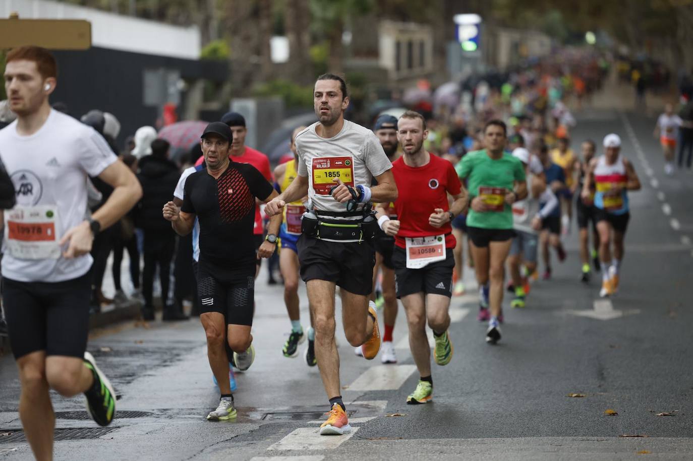 Runners in the Generali Malaga Marathon race on Sunday, 11 December 2022