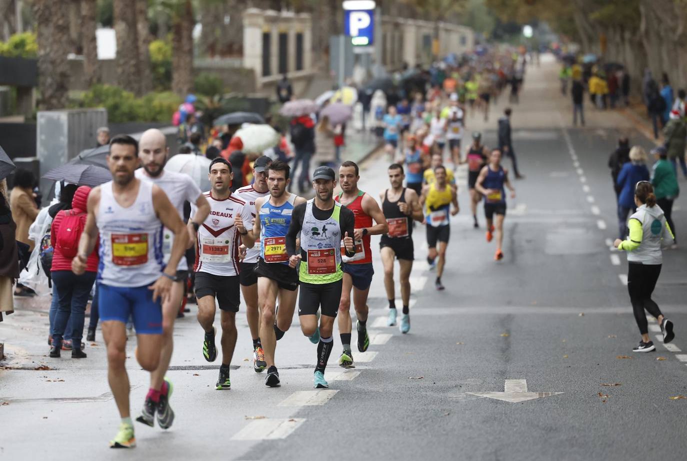 Runners in the Generali Malaga Marathon race on Sunday, 11 December 2022