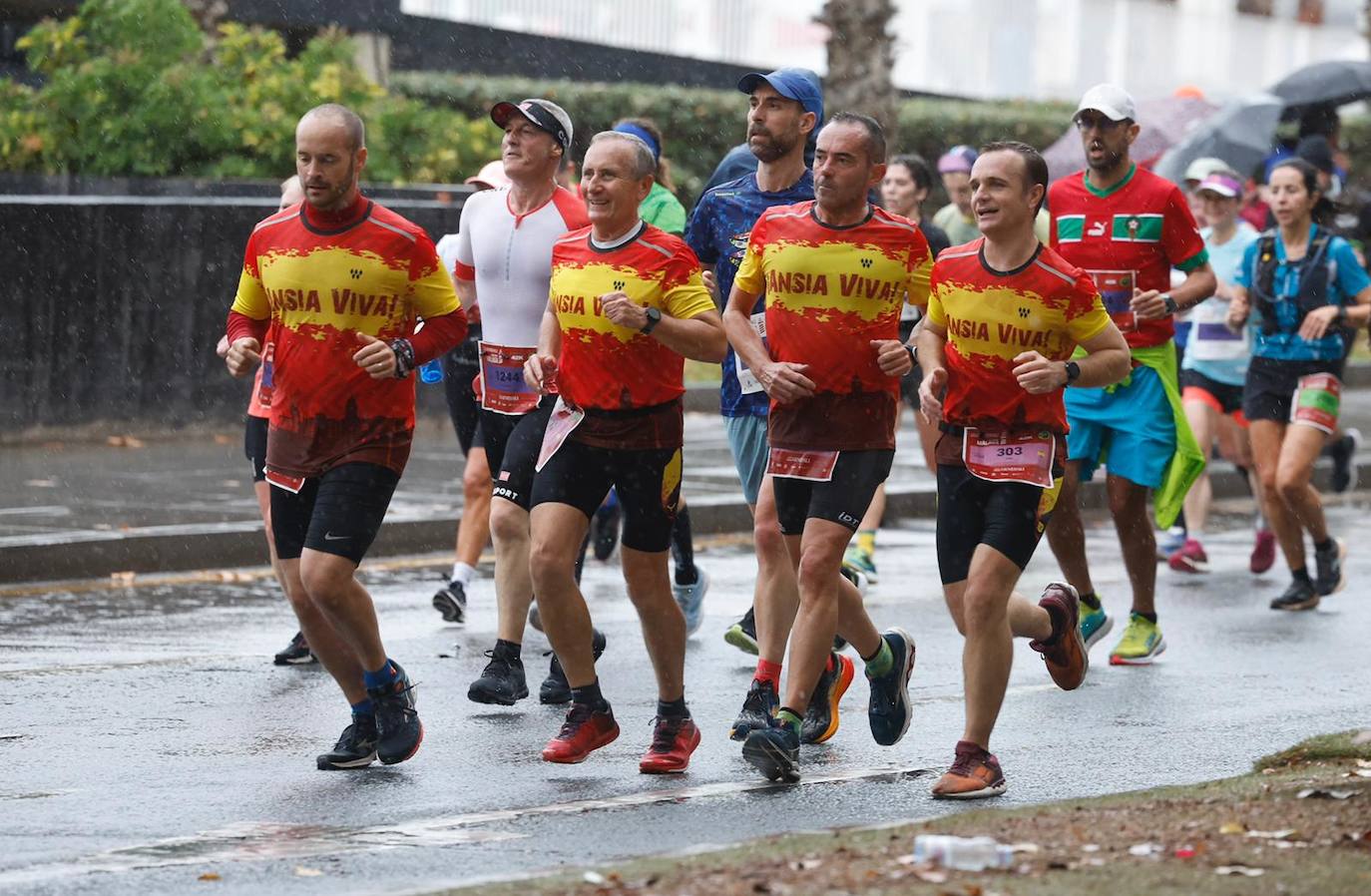 Runners in the Generali Malaga Marathon race on Sunday, 11 December 2022