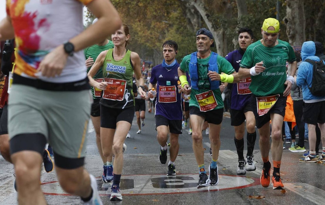 Runners in the Generali Malaga Marathon race on Sunday, 11 December 2022