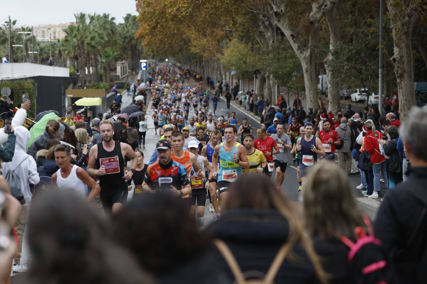Runners in the Generali Malaga Marathon race on Sunday, 11 December 2022