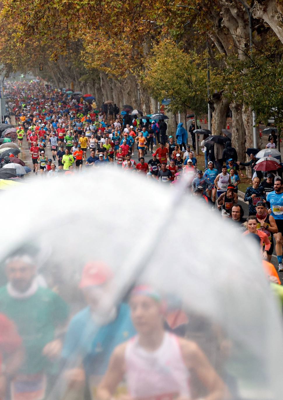 Runners in the Generali Malaga Marathon race on Sunday, 11 December 2022