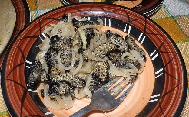 Mopane worms. 