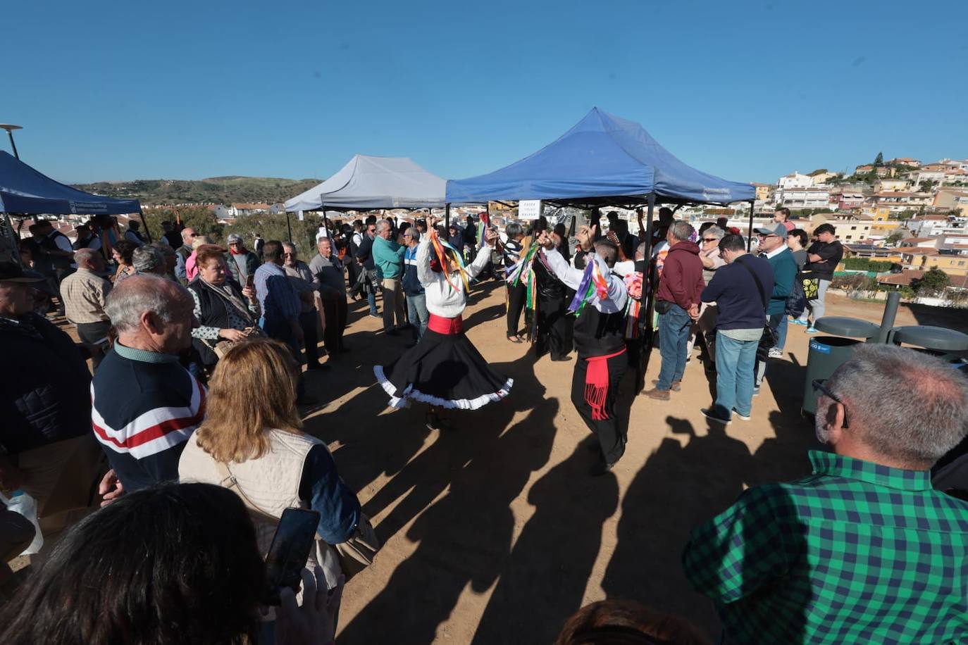 A total of 25 'pandas' (groups) participated