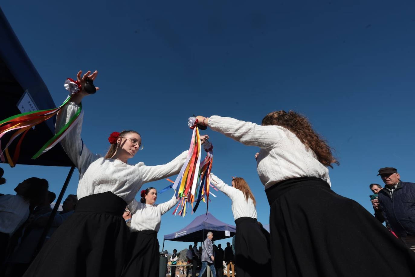 A total of 25 'pandas' (groups) participated