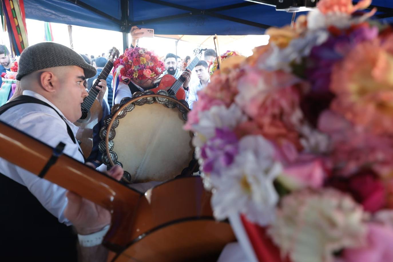 A total of 25 'pandas' (groups) participated 