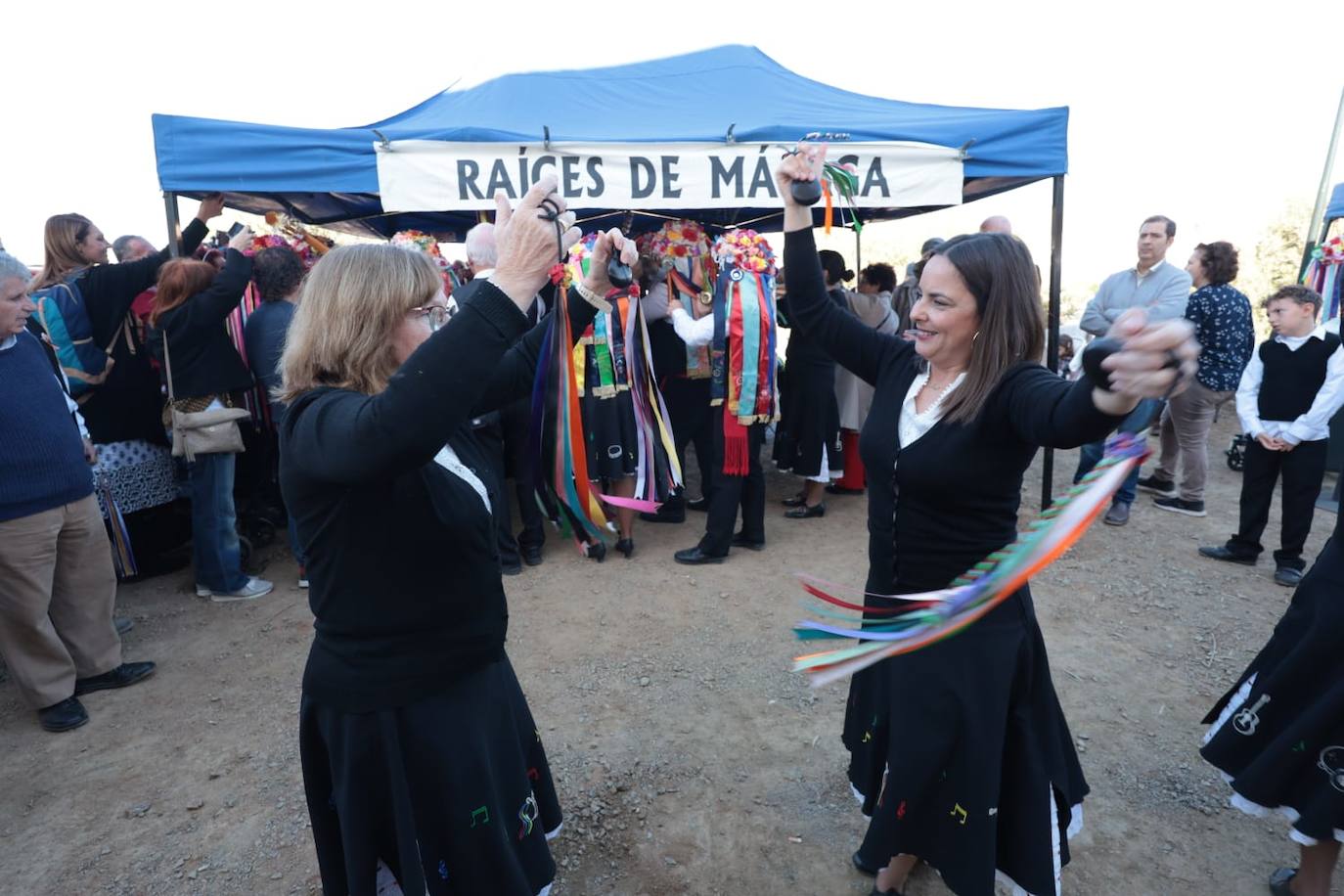 A total of 25 'pandas' (groups) participated