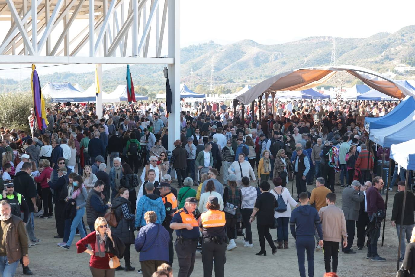 A total of 25 'pandas' (groups) participated