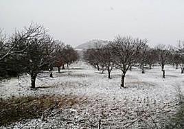 Snow in the Ronda area in 2020.