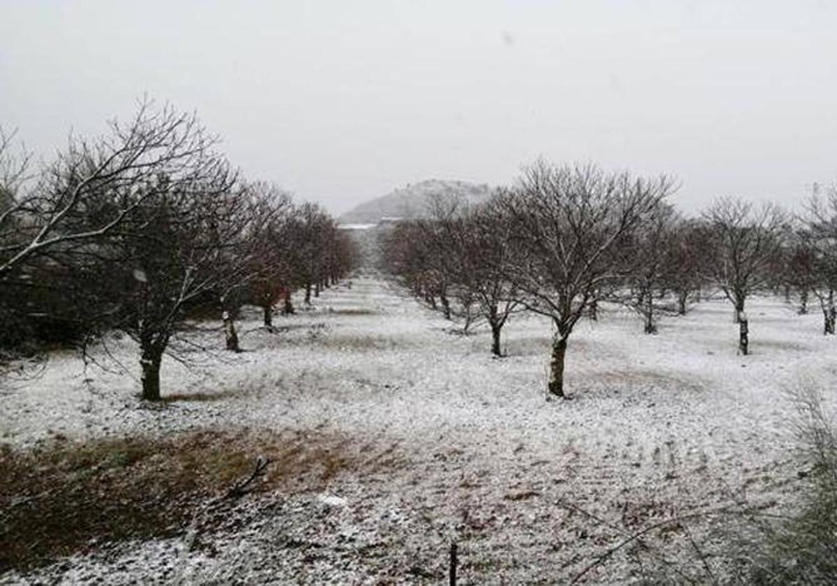 Snow in the Ronda area in 2020.