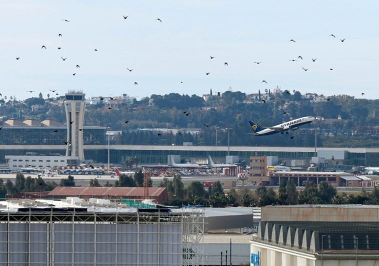 Malaga Airport. File image.