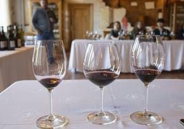 Wine in the world of AI